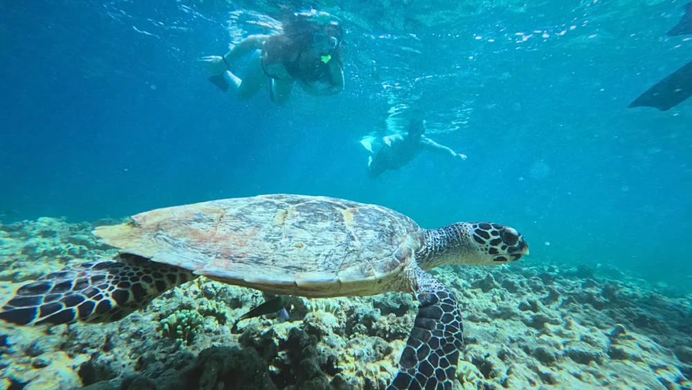 Best Muncle: Private Snorkeling & Sacred Temple 2
