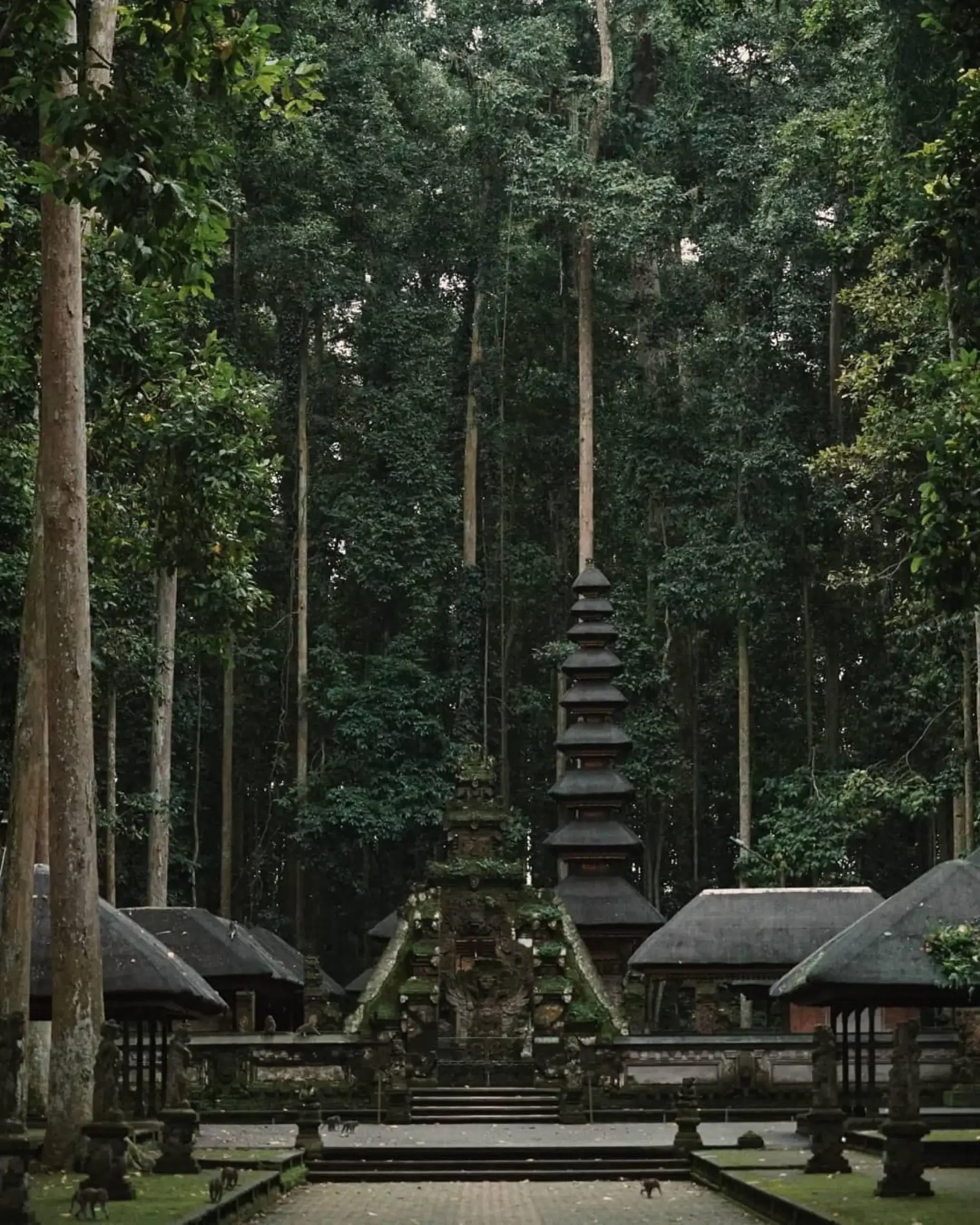 North Bali: Monkey Forest - Waterfall - Rice Terraces - Ulun Danu 2
