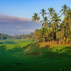 Tabanan